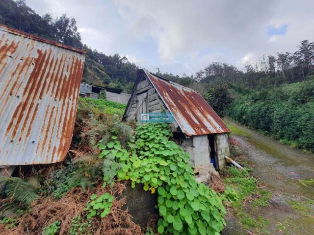 Terreno venda em Machico, Ilha Da Madeira