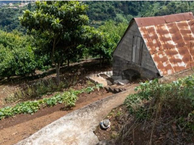 Terreno venda em Achada de Simão Alves, Santana