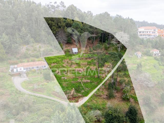 Terreno venda em Santa Cruz, Ilha Da Madeira