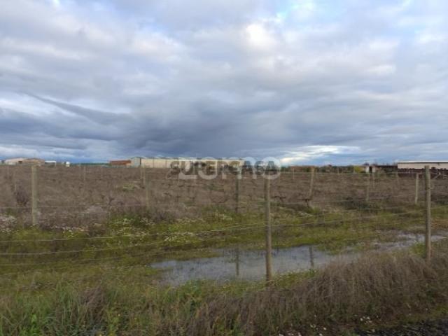 Terreno venda em Campo Maior Terreno venda em Campo Maior