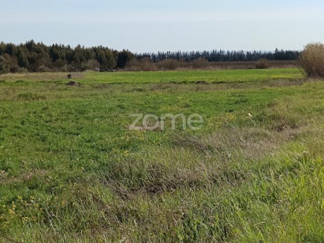 Terreno venda em Campo Maior, Portalegre