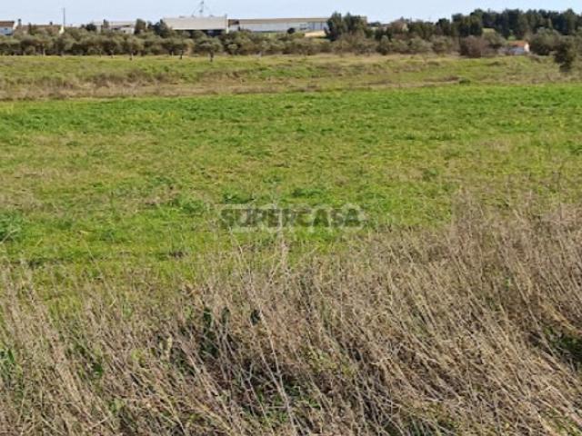 Terreno venda em Campo Maior Terreno venda em Campo Maior