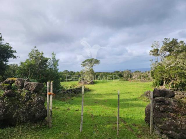 Terreno venda em Açores, Madalena