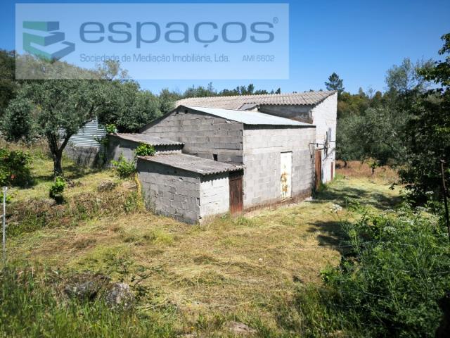 Quinta venda em Castelo Branco