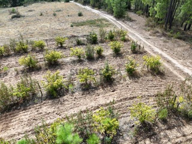 Terreno venda em Fundão, Castelo Branco