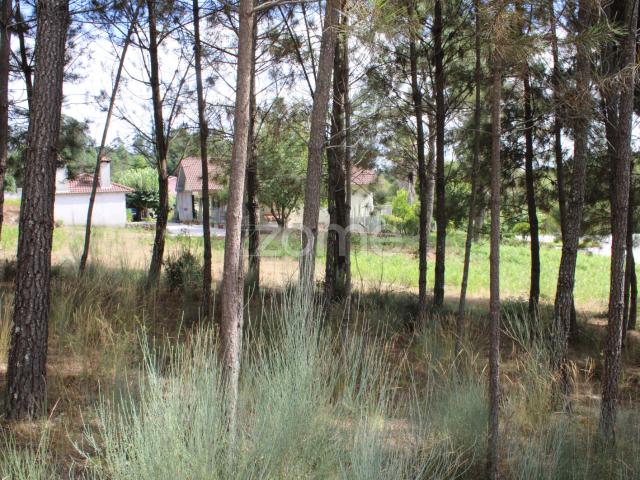 Terreno venda em Quinta do Soito, Viseu