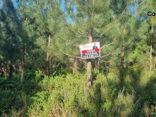 Terreno venda em Castelo Branco, Cumeada