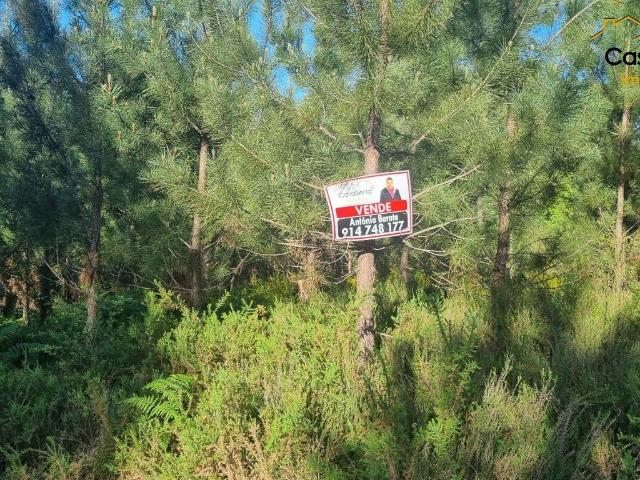 Terreno venda em Castelo Branco, Cumeada