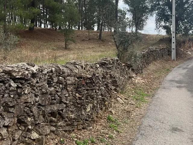 Terreno venda em Castelo Branco, Proença-a-nova