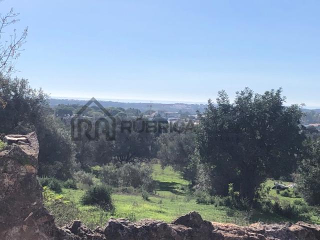 Terreno venda em Maritenda, Loulé