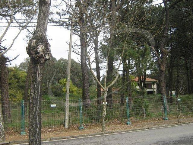 Terreno venda em Vila Nova De Gaia, Porto