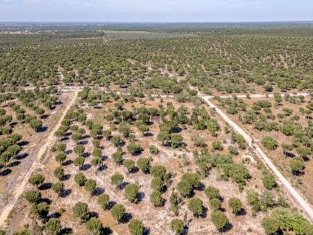 Terreno venda em Benavente, Santarém