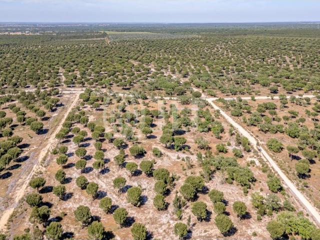 Terreno venda em Santo Estevão, Santo Estêvão