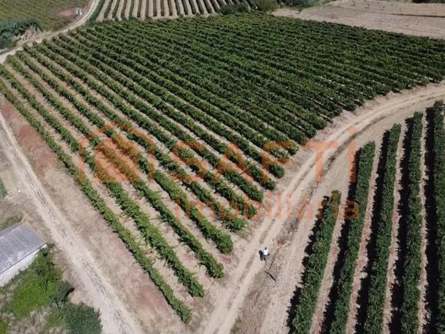 Terreno venda em Torres Vedras, Lisboa