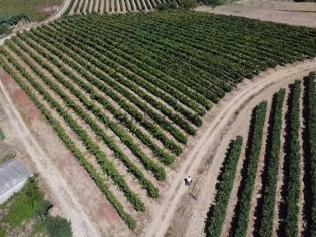 Terreno venda em Torres Vedras, Lisboa