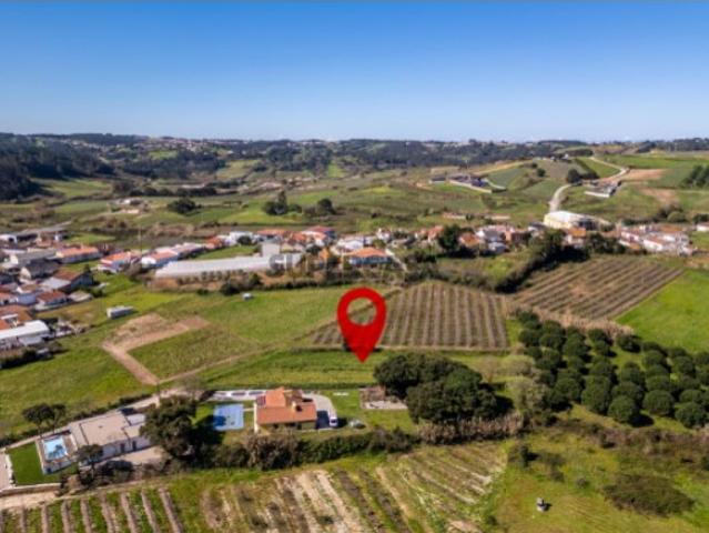 Terreno venda em Alcobaça, Leiria