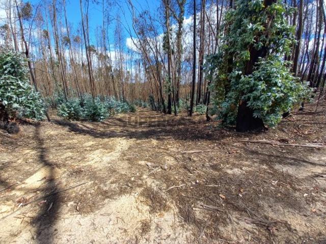 Terreno venda em Ourém, Santarém