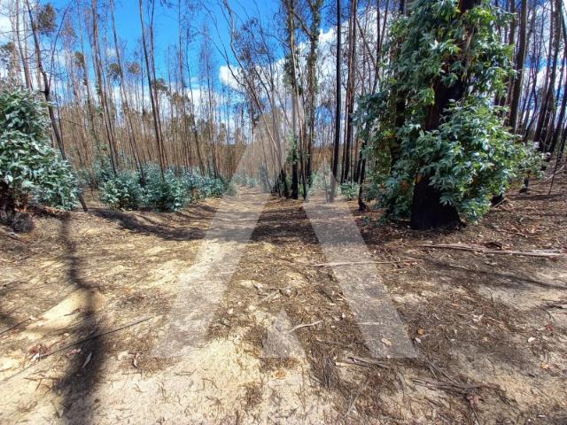 Terreno venda em Ourém, Santarém
