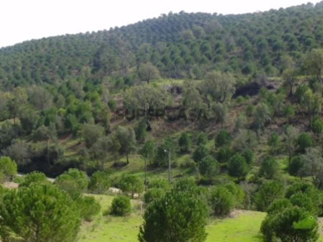 Terreno venda em São Marcos Da Serra, Faro