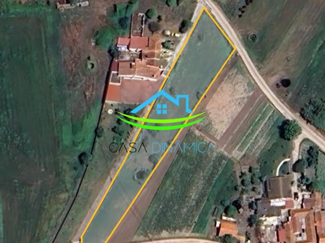 Terreno venda em Catarruchos, Montemor-o-velho