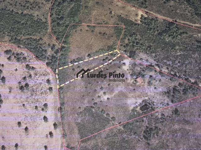 Terreno venda em Castelo Branco
