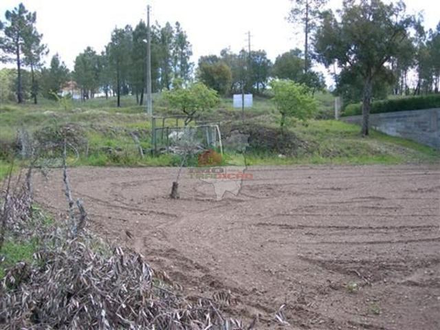 Terreno venda em Castelo Branco, Cumeada