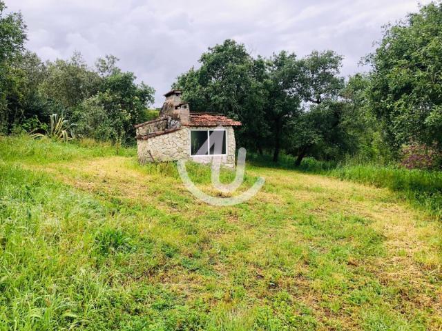 Terreno venda em Cruz das Mós, Alcobaça