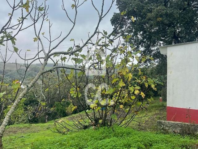 Terreno venda em Moninhos, Santiago Dos Velhos