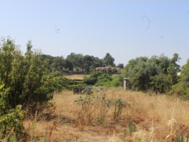 Terreno venda em Castelo Branco