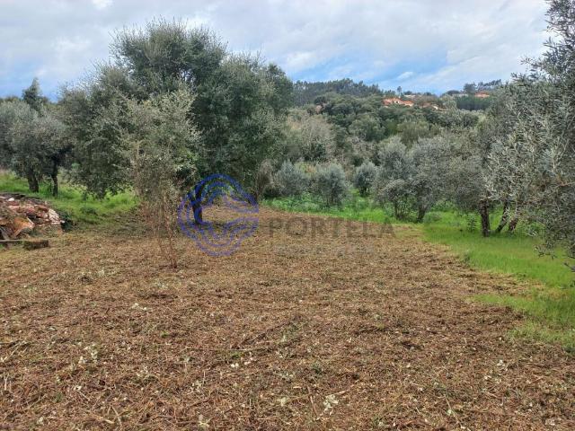 Terreno venda em Pegados, Rego Da Murta