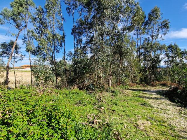 Terreno venda em Oliveirinha, Aveiro