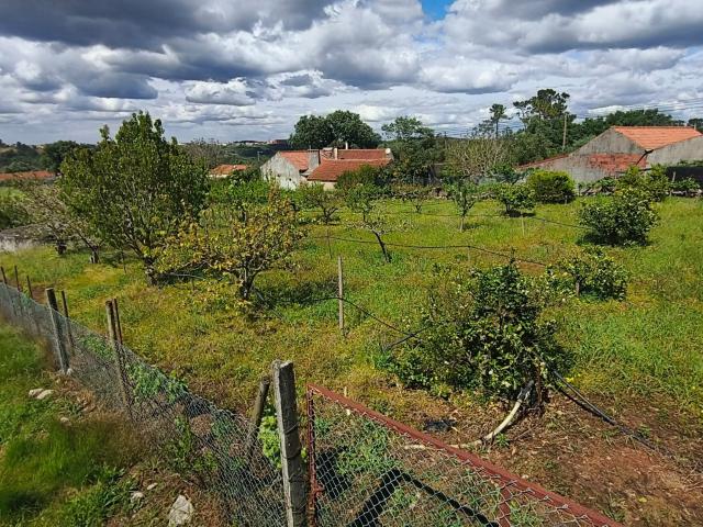 Terreno venda em Casais de Santa Teresa, Alcobaça