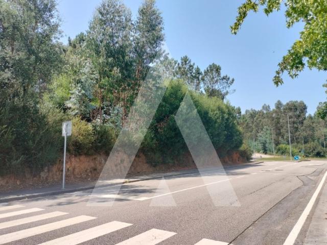 Terreno venda em São João Da Madeira, Aveiro