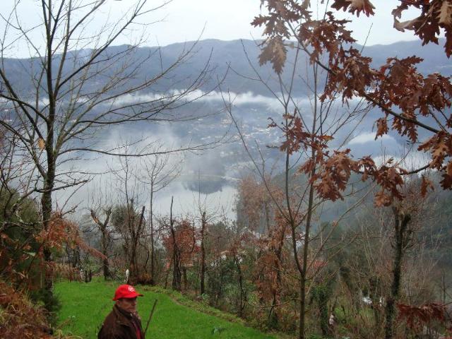Terreno venda em Parada Do Bouro, Braga