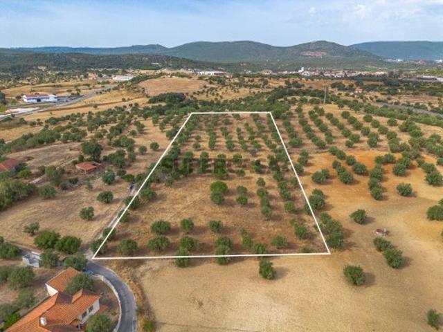 Terreno venda em Alcanena, Santarém
