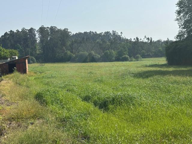 Terreno venda em Boalhosa, Viana Do Castelo