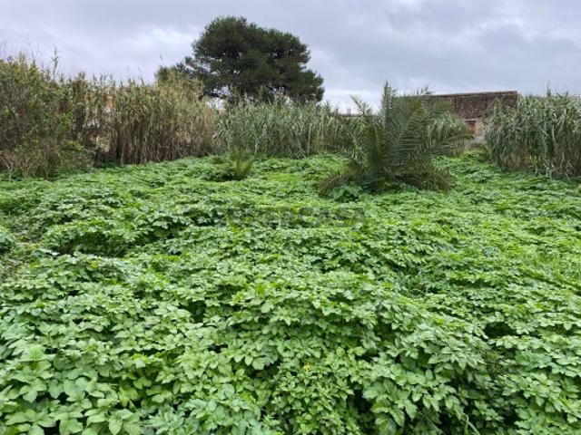 Terreno venda em Ajuda, Lisboa