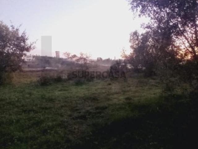 Terreno venda em Senhor das Almas, Soure