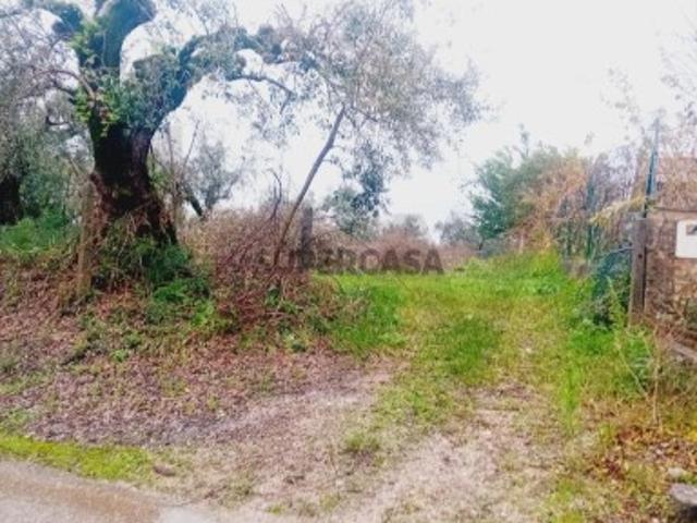 Terreno venda em Senhor das Almas, Soure