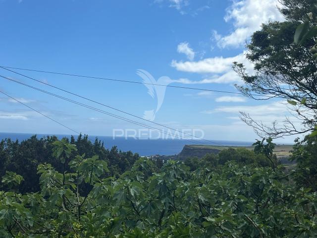 Terreno venda em Açores, Quatro Ribeiras