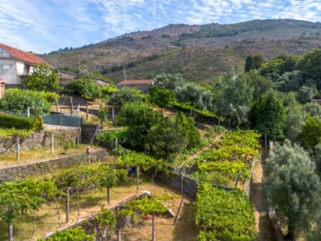 Terreno venda em Viana Do Castelo