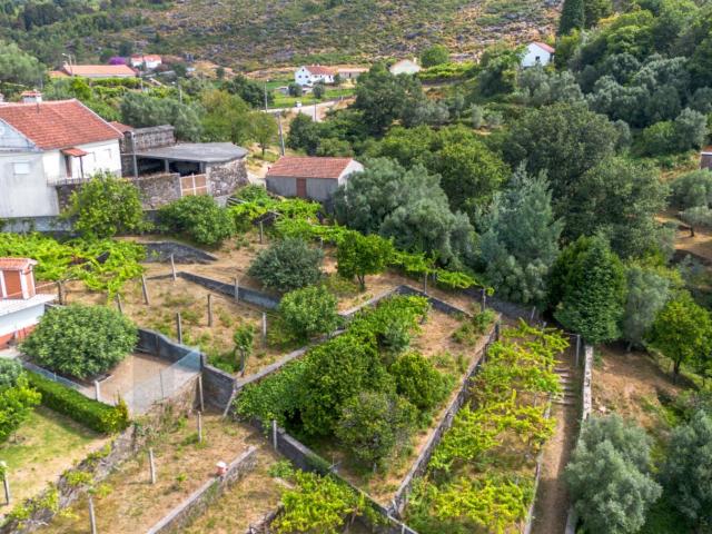 Terreno venda em Viana Do Castelo