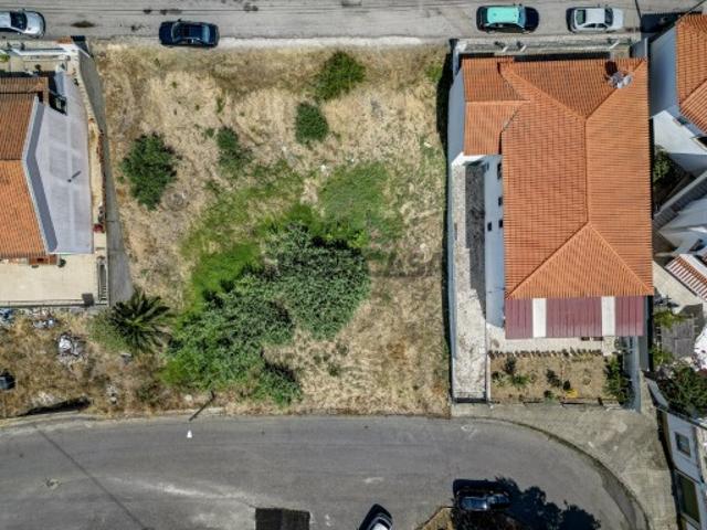 Terreno venda em Chamusca e Pinheiro Grande, Chamusca