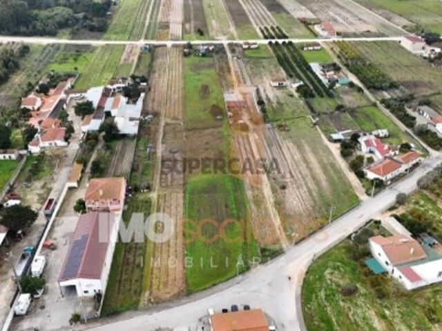 Terreno venda em Alpiarça, Santarém
