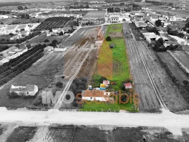 Terreno venda em Alpiarça, Santarém
