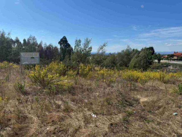 Terreno venda em Castelo Branco, Dominguizo