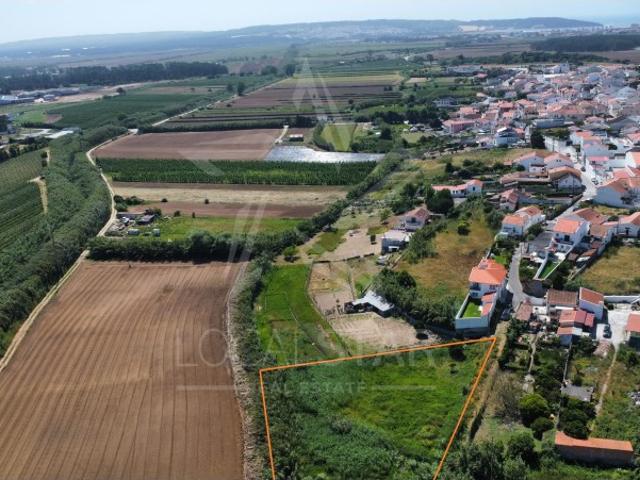 Terreno venda em Alcobaça, Leiria