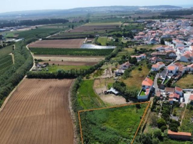 Terreno venda em Alcobaça, Leiria