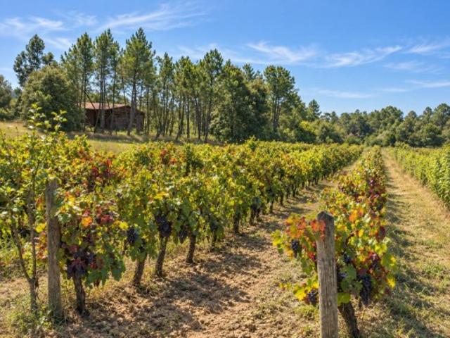 Terreno venda em Alfarelos, Soure