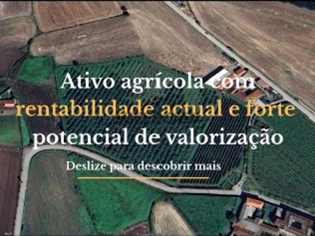 Terreno venda em Arcozelo, Braga